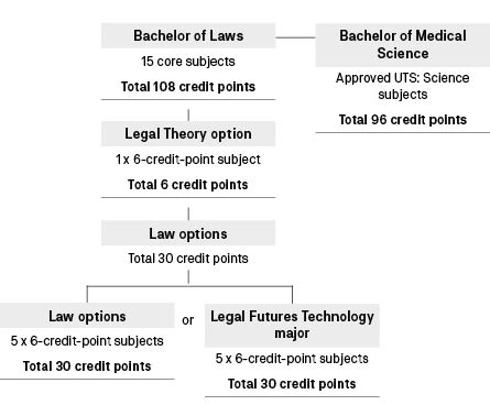 Course diagram: C10131