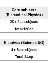 Course diagram: C10346