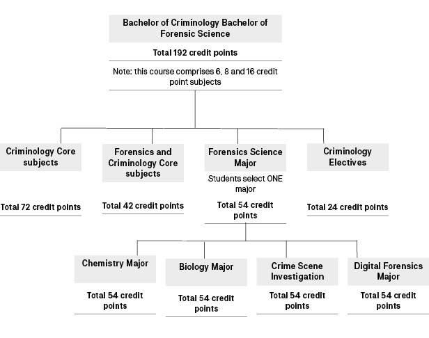 Course diagram: C10448